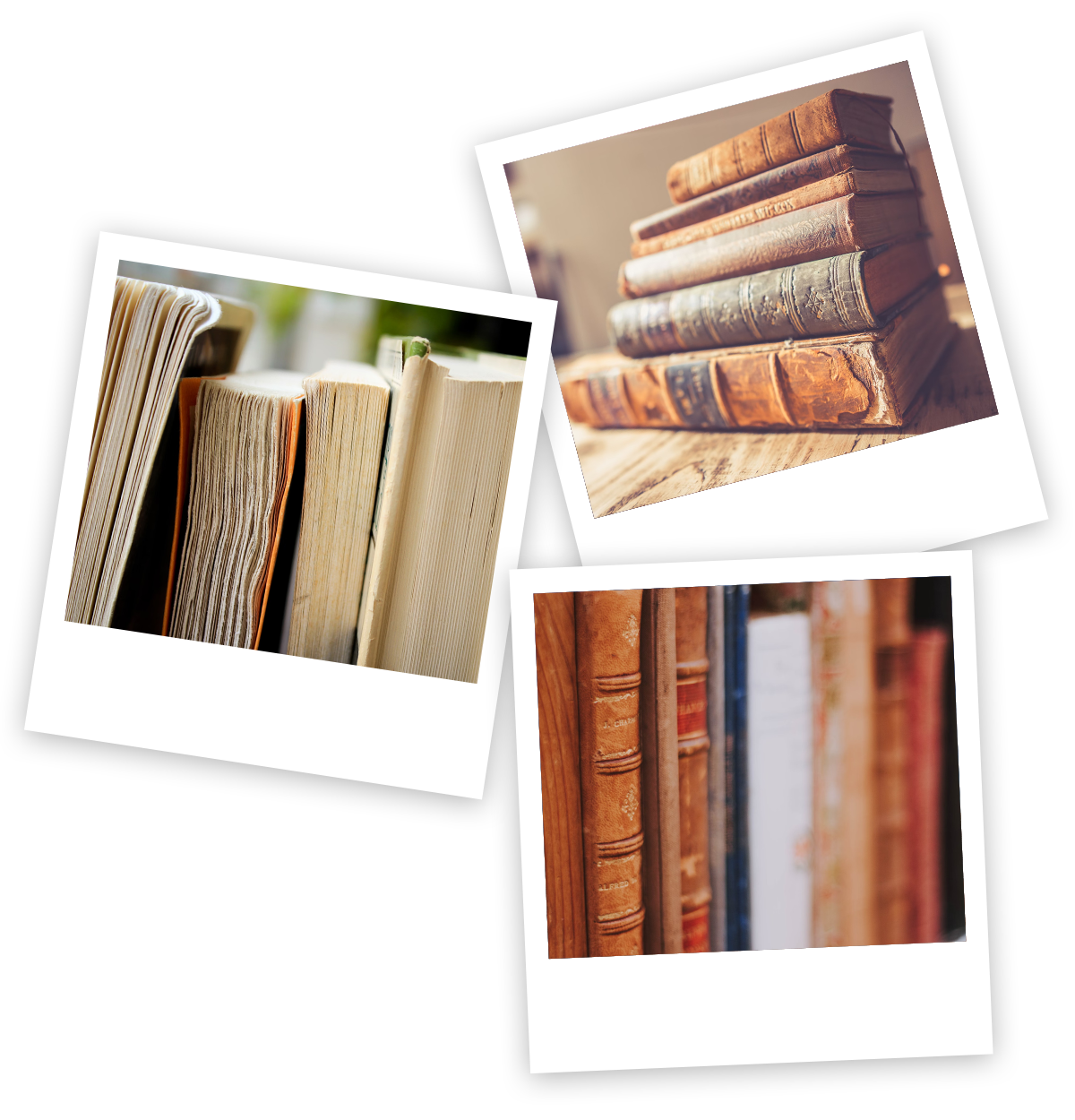 Polaroids of books
